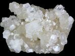 Prehnite With Apophyllite & Gyrolite - India #39919-1